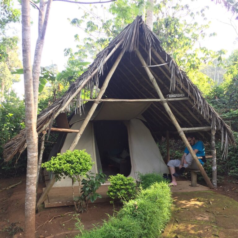 Amani Nature Reserve