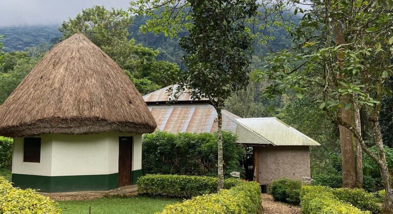 Buhoma Community Rest Camp