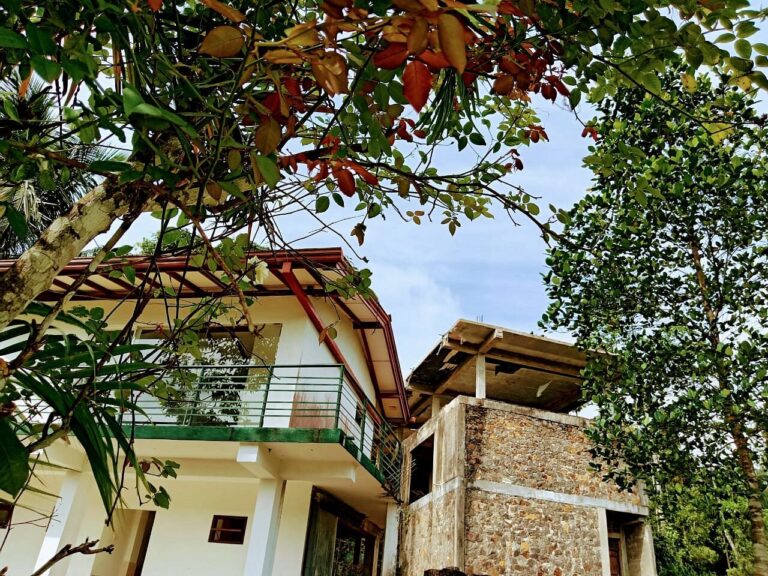 The Rain Forest Lodge