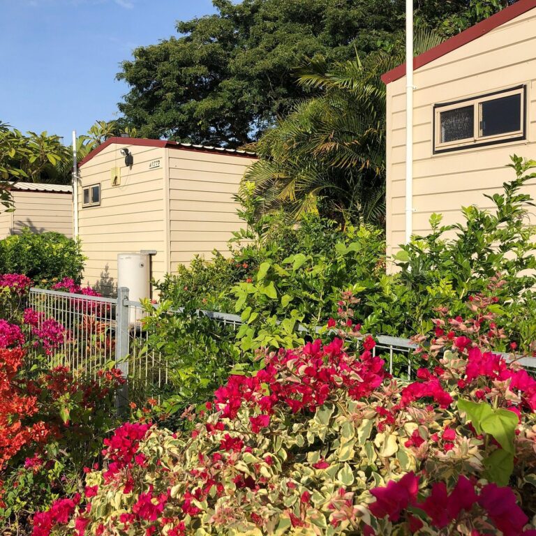 Savanah Lodge
