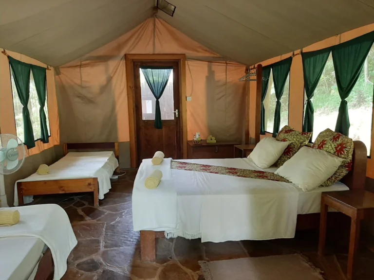 Udzungwa Forest Tented Camp.