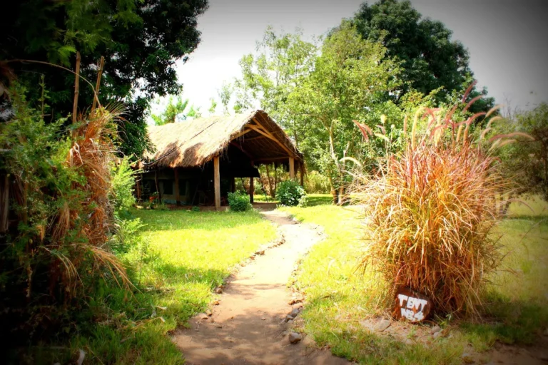 Udzungwa Forest Tented Camp.