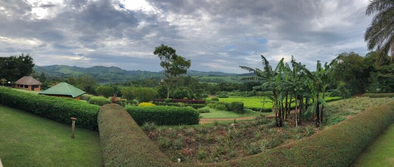 Chimpanzee Forest Guest house