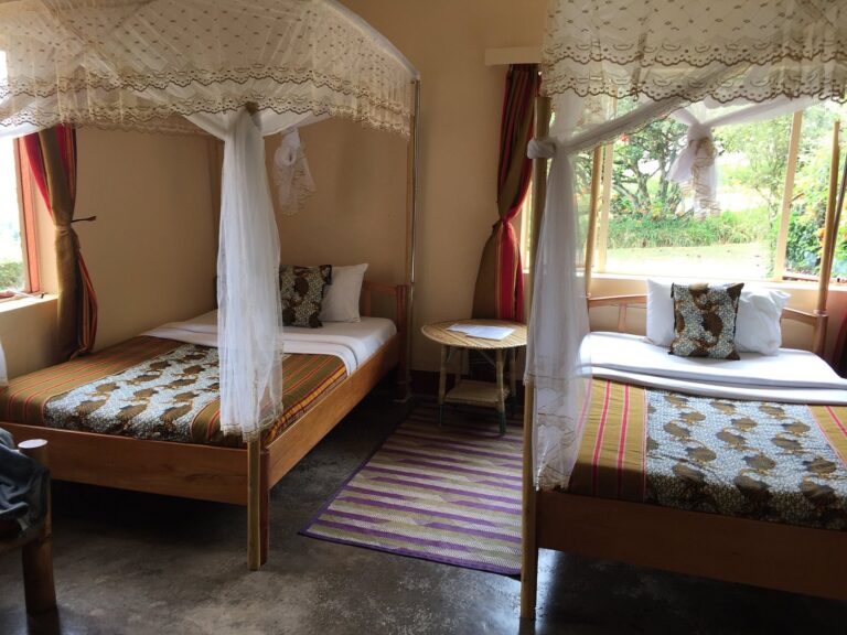Chimpanzee Forest Guest house
