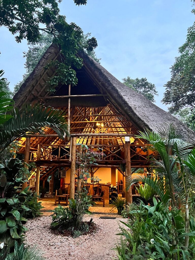 kibale forest camp/ kibale forest lodge