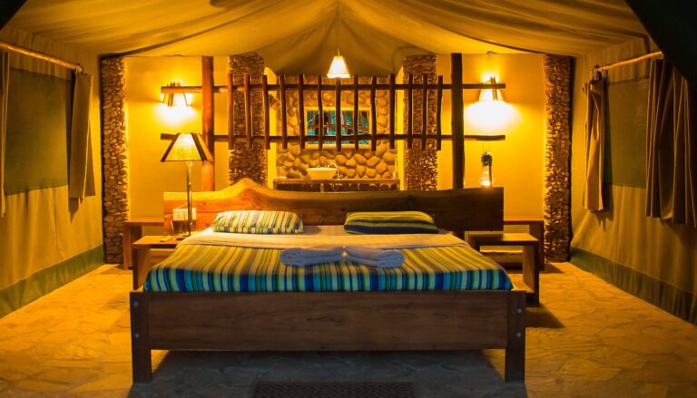 kibale forest camp/ kibale forest lodge