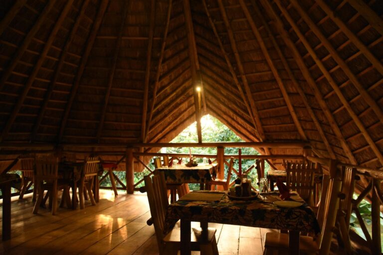 kibale forest camp/ kibale forest lodge