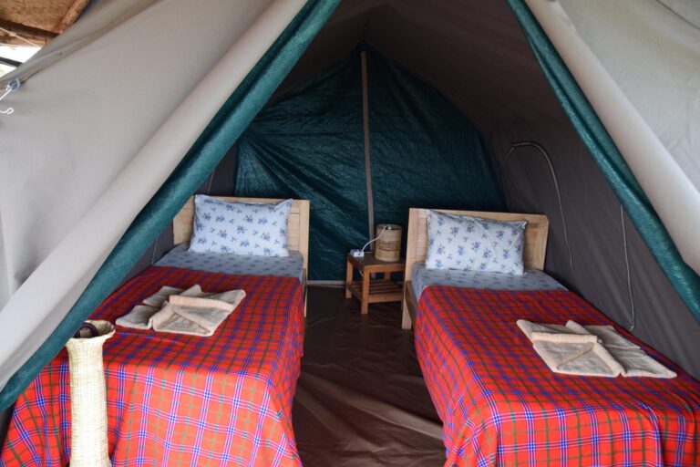 Eagles-nest camp
