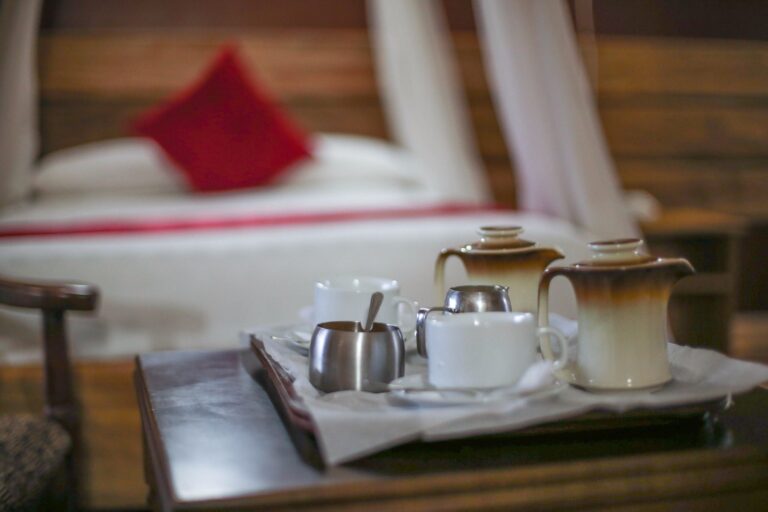 Pakuba Lodge or red chill