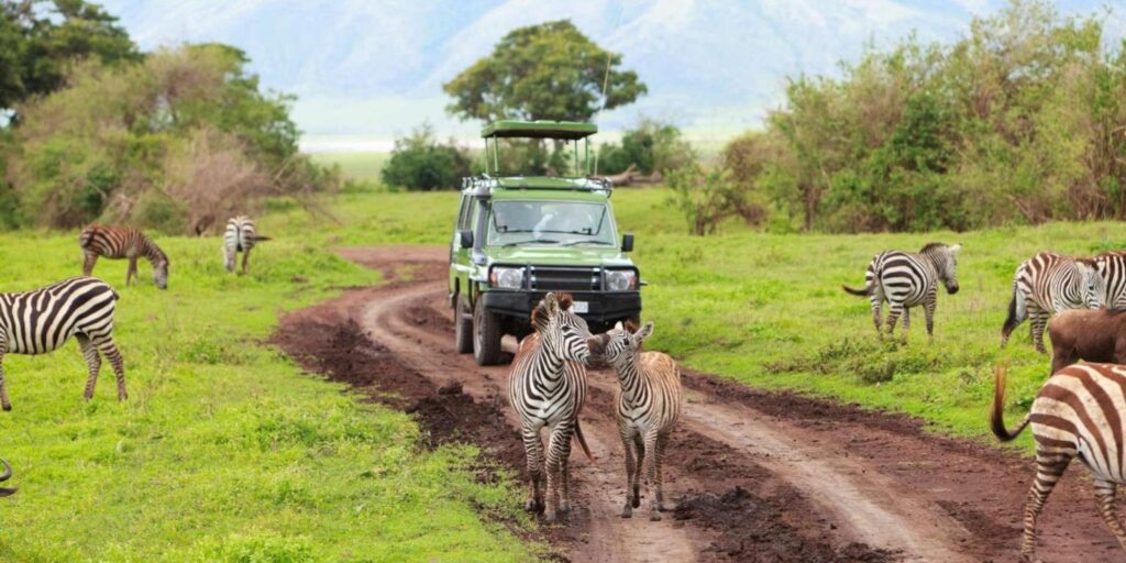 Birding at Lake Mburo National Park